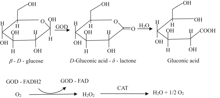 Figure 1