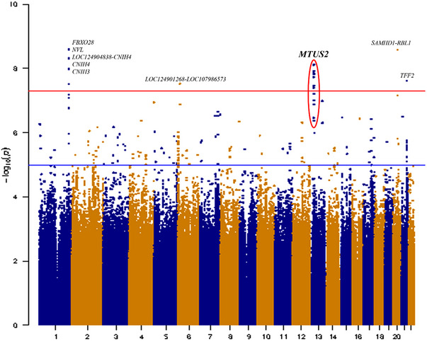 FIGURE 1