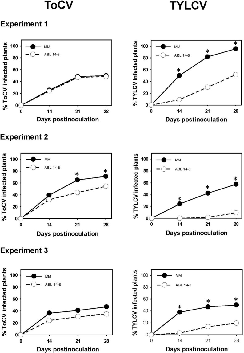 FIGURE 3