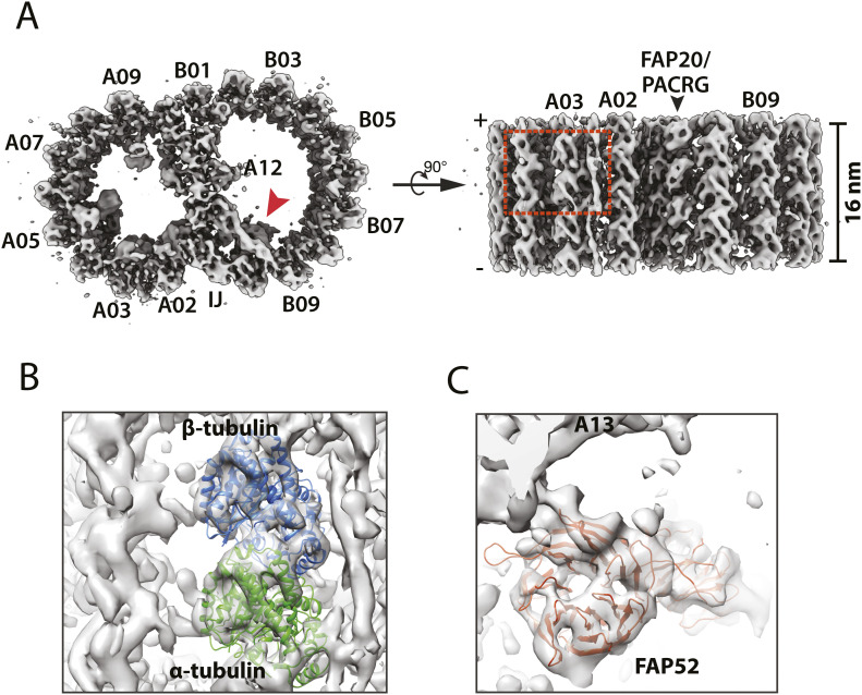 Figure 1.