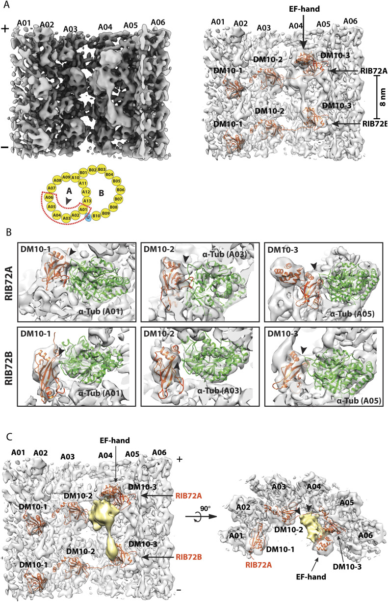 Figure 2.