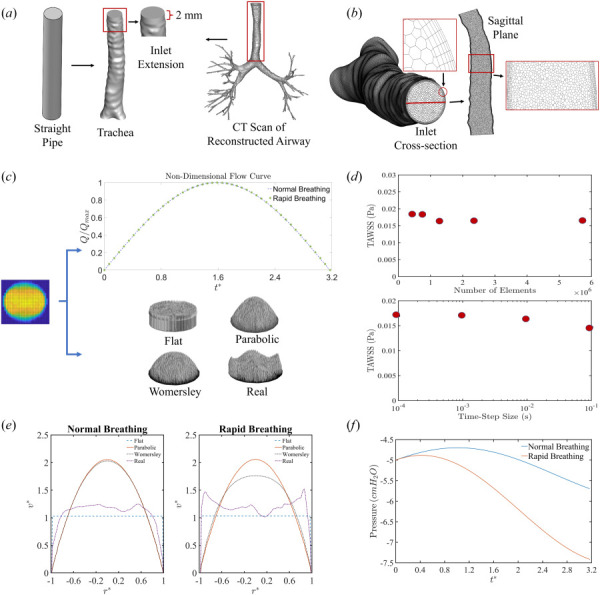 (a) CT scan of lung airways—tracheal flow dynamics is first modeled as a straight pipe for the baseline study, then simulations are performed in ten patient-specific trachea models, (b) mesh on cross-sectional and sagittal planes using ICEM-CFD, (c) spatio-temporal velocity extracted for implementation in CFD simulations, (d) mesh independence and optimal time-step selection while evaluating TAWSS, (e) two-dimensional velocity profile plotted along the centerline of the inlet, and (f) pressure outlet boundary condition imposed for normal and rapid breathing condition