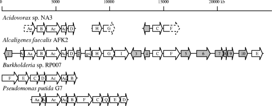 FIG. 2.