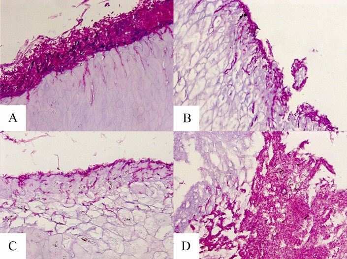 FIG 6