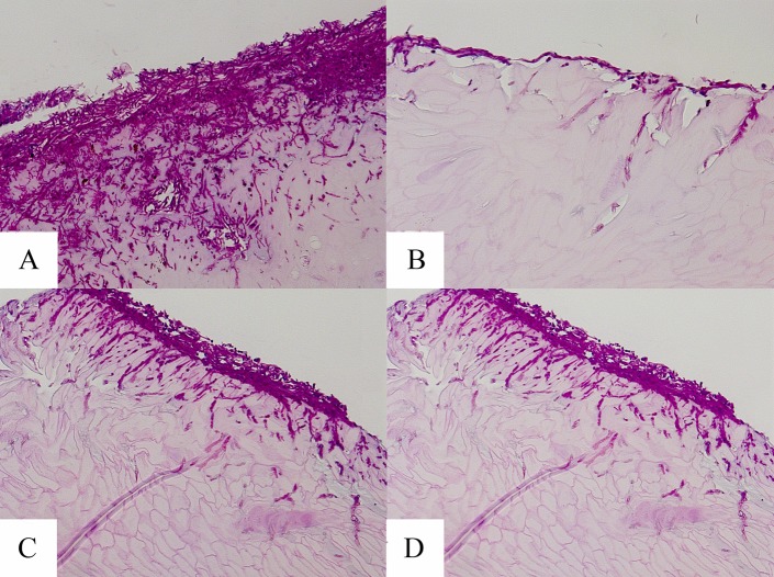 FIG 5