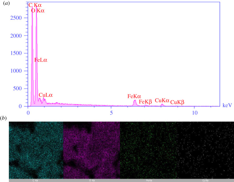 Figure 7.