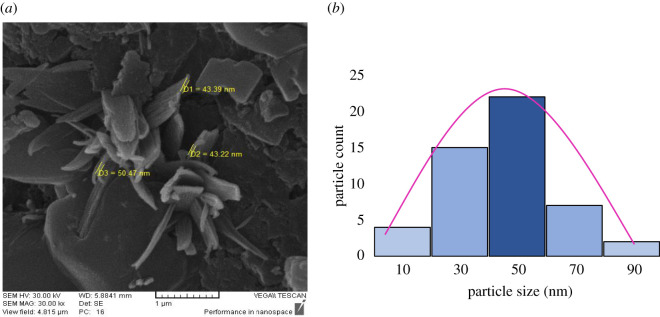 Figure 3.