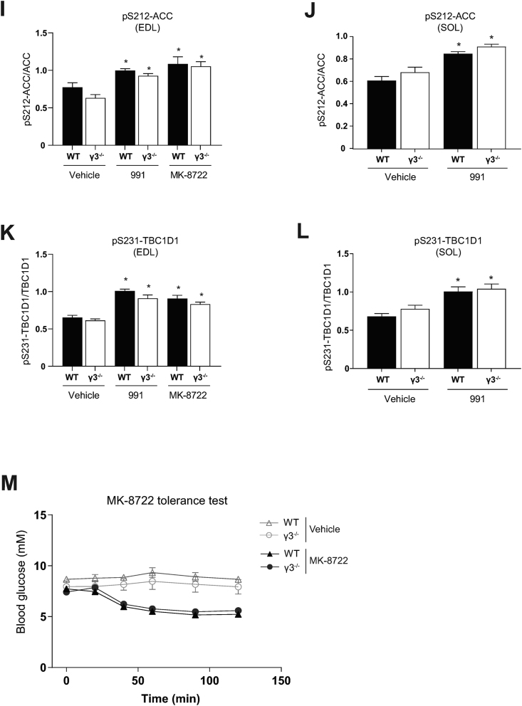 Figure 5