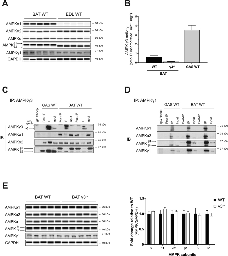 Figure 6