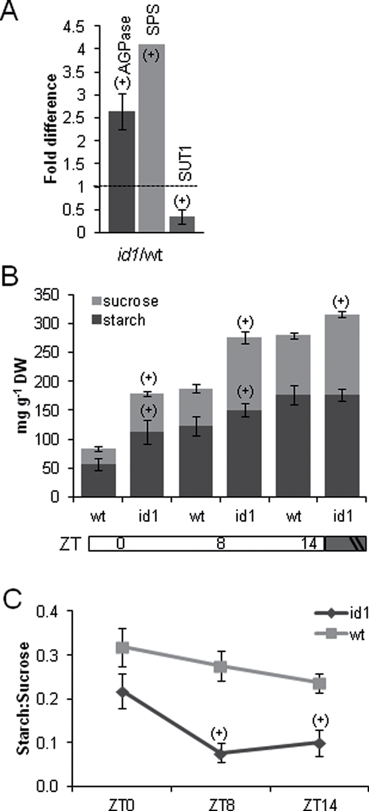 Fig. 3. 