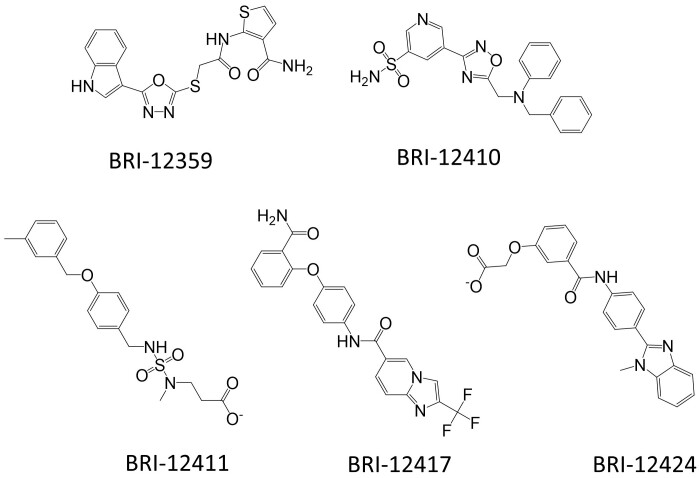 Figure 2