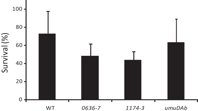 FIG 1