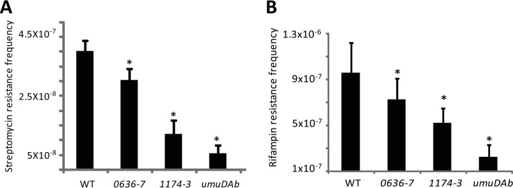 FIG 2