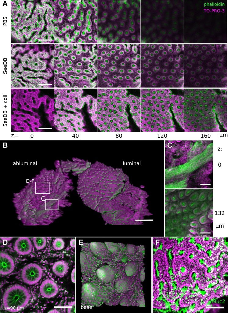 Fig. 9.