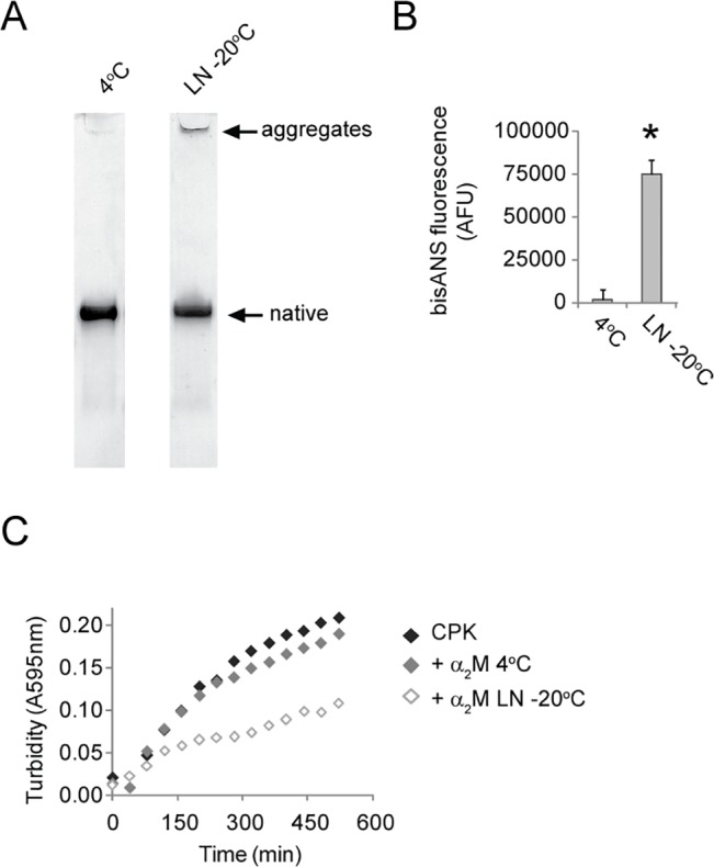 Fig 5