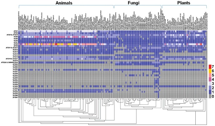 Figure 4.