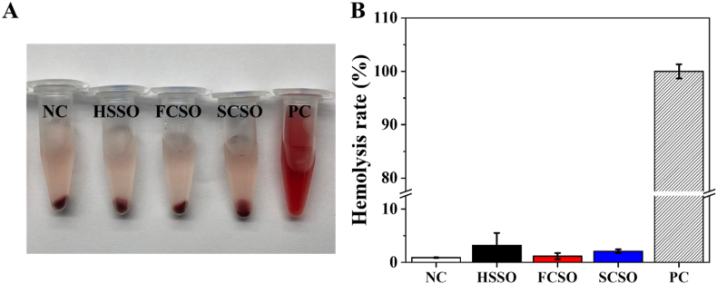 Fig. 6