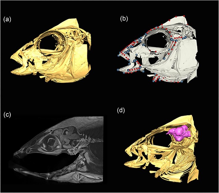 Fig. 3.