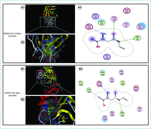 Figure 3. 