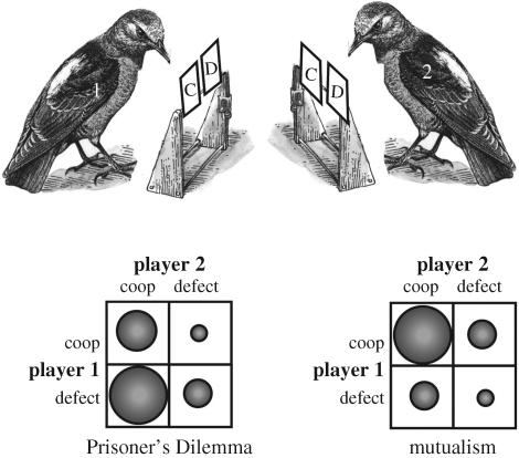 Figure 2.