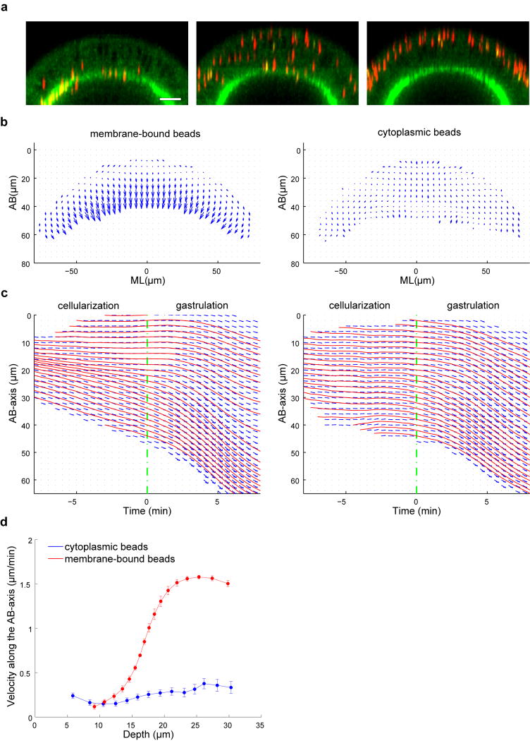 Extended Data Figure 5