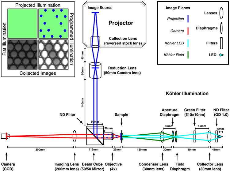 Fig. 1