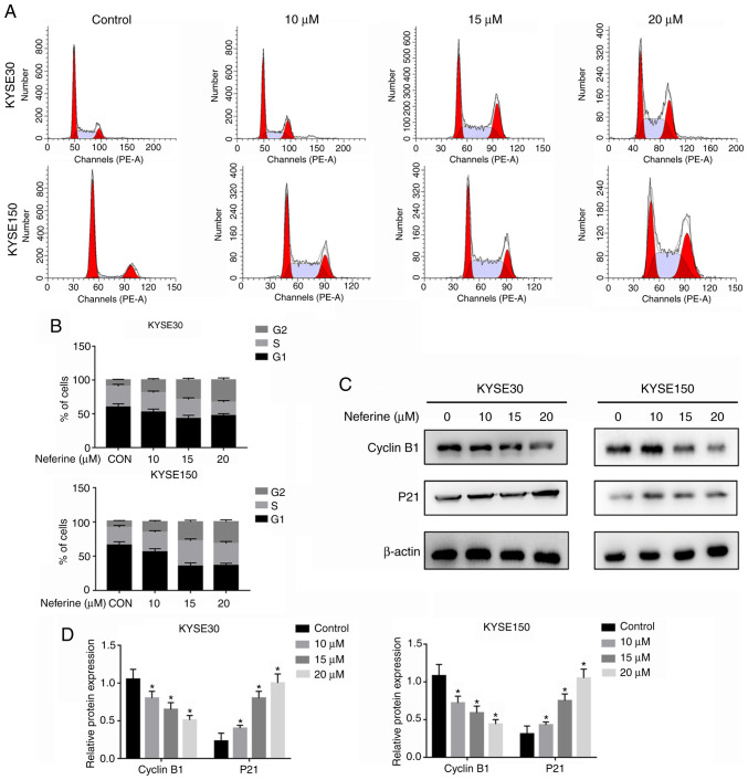 Figure 2.