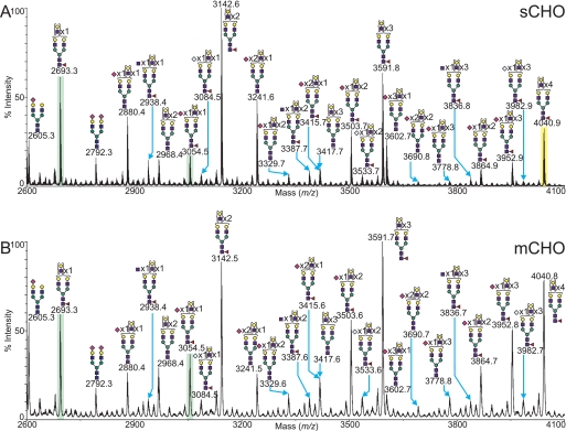 FIGURE 4.