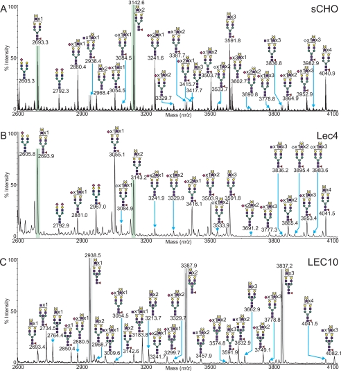 FIGURE 7.