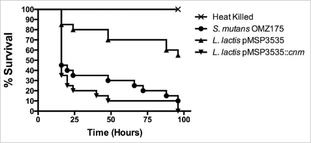 Figure 6.