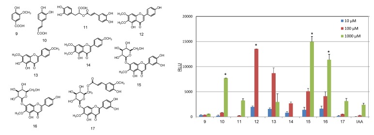 Figure 5