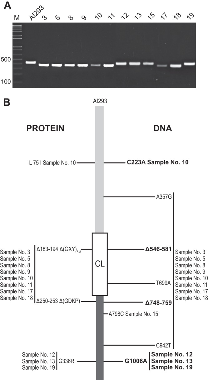 Fig 6