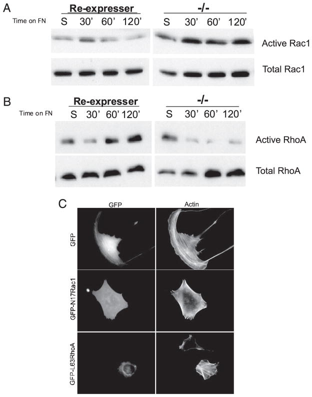 FIGURE 3