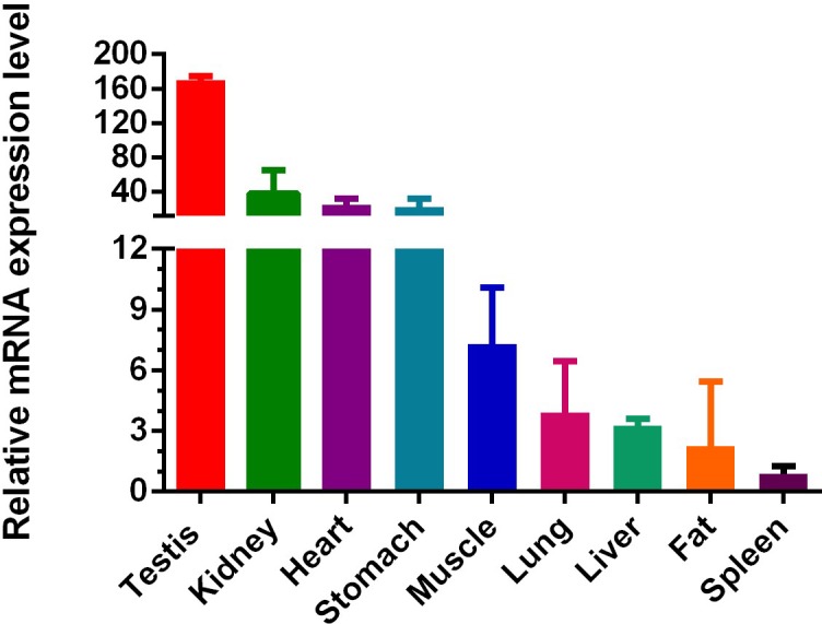 Figure 3