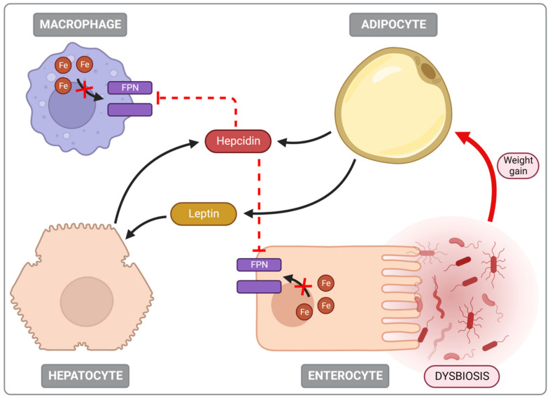 Figure 6
