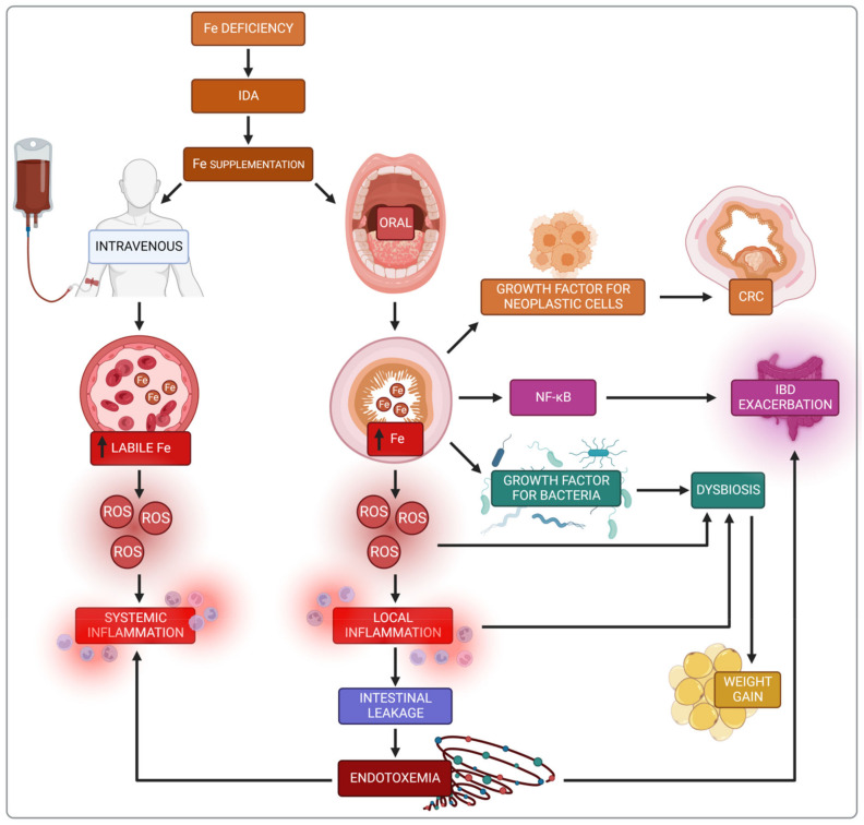 Figure 7