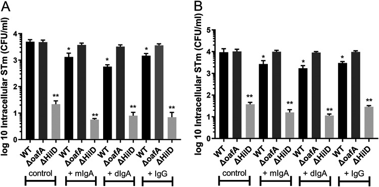 FIG 4