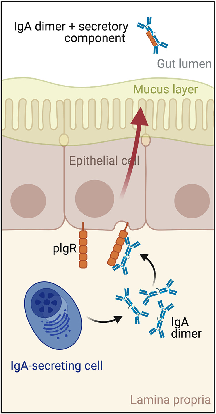 FIG 1