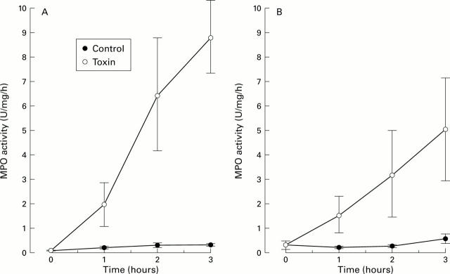 Figure 2  