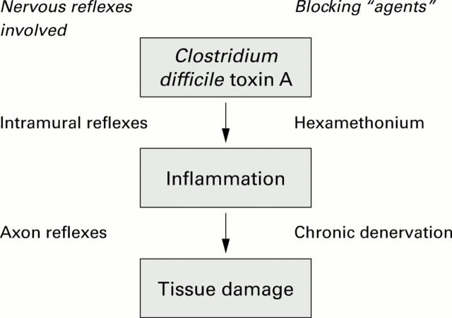 Figure 5  