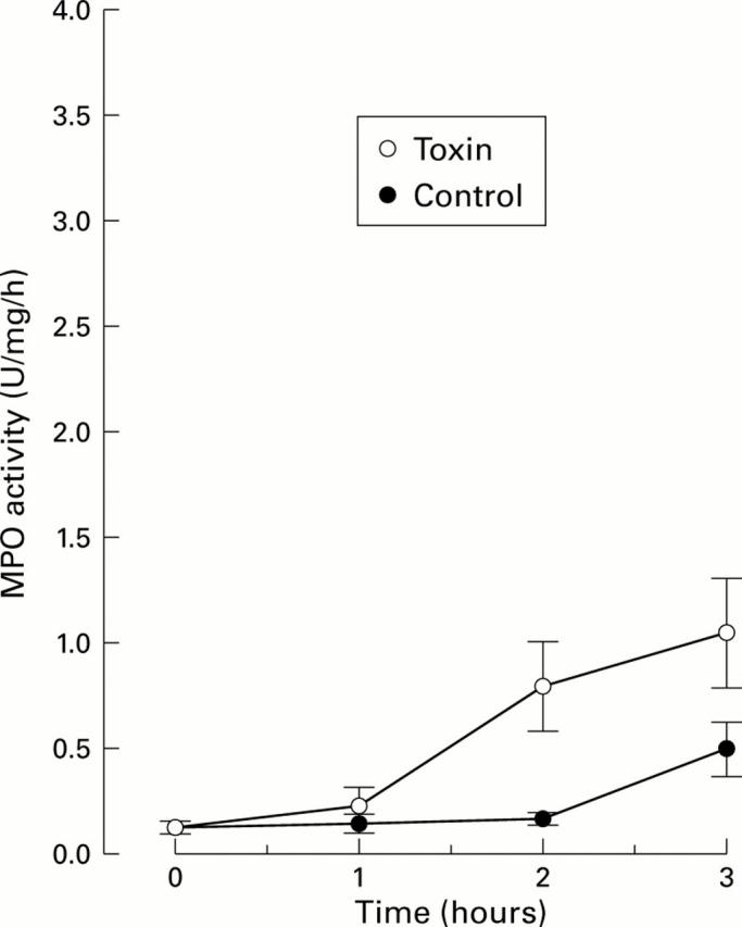 Figure 4  