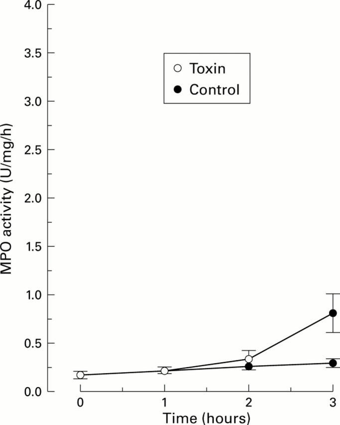 Figure 3  