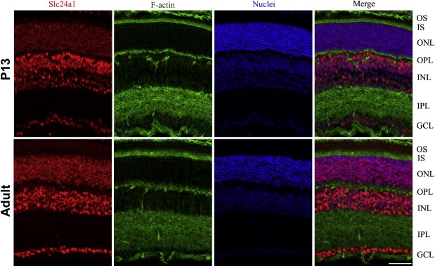 Figure 6