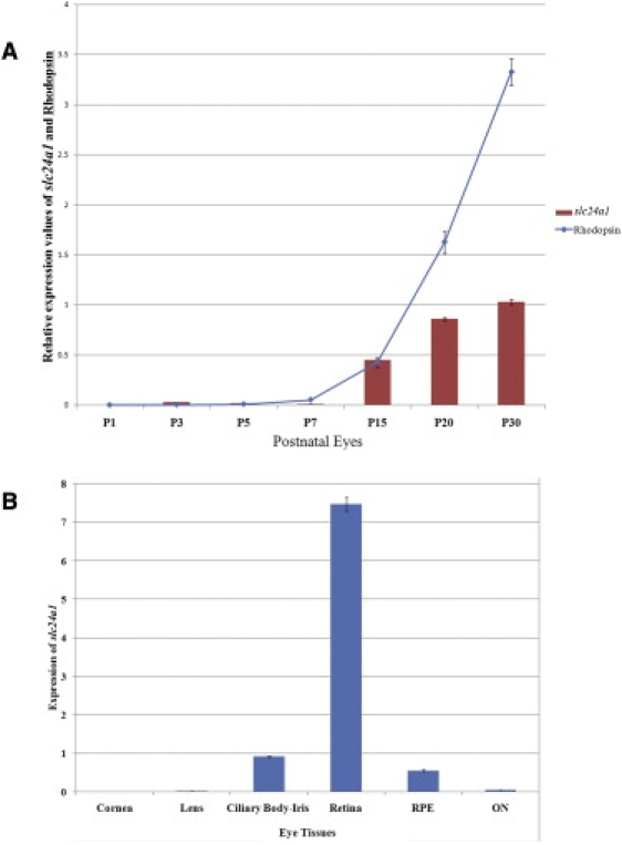 Figure 4