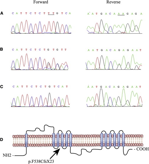 Figure 3