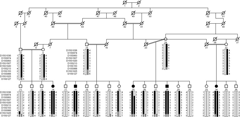 Figure 1