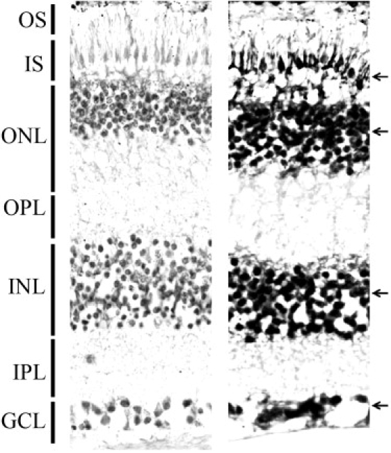 Figure 5