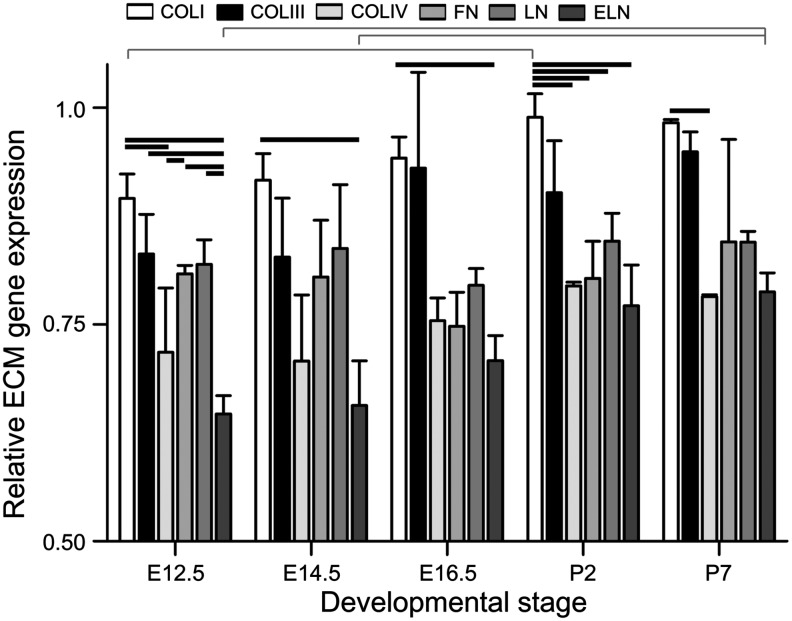 FIG. 5.