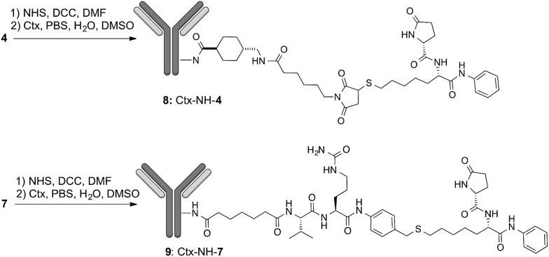 Scheme 2