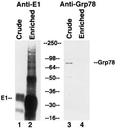 FIG. 8